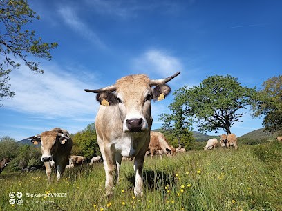 Ferme des Cormier, Ferme Bio à Volvic