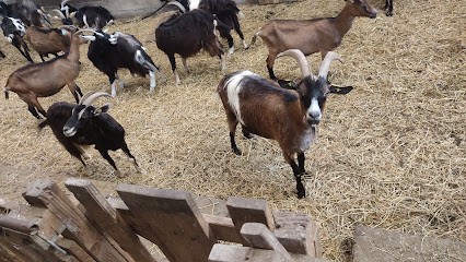 Chèvrerie le bouc du monde, Ferme Bio à Borrèze