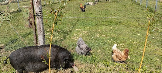 l'unis vert des sens, Ferme Bio à Gout-Rossignol