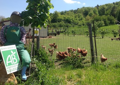 Maroilley Jacques, Ferme Bio à Châteauvillain