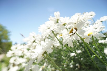 Les Plantes de Mathilde, Ferme Bio à Rully