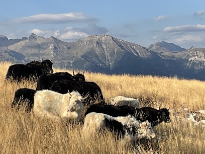 Yak-Kharka, Ferme Bio à Gap