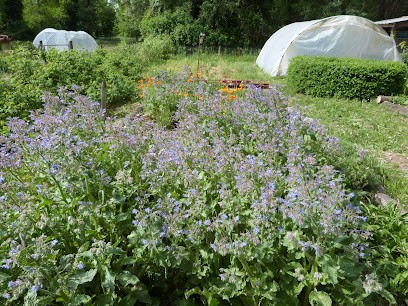 Valyherba, Ferme Bio à Saint-Gervais-sur-Roubion