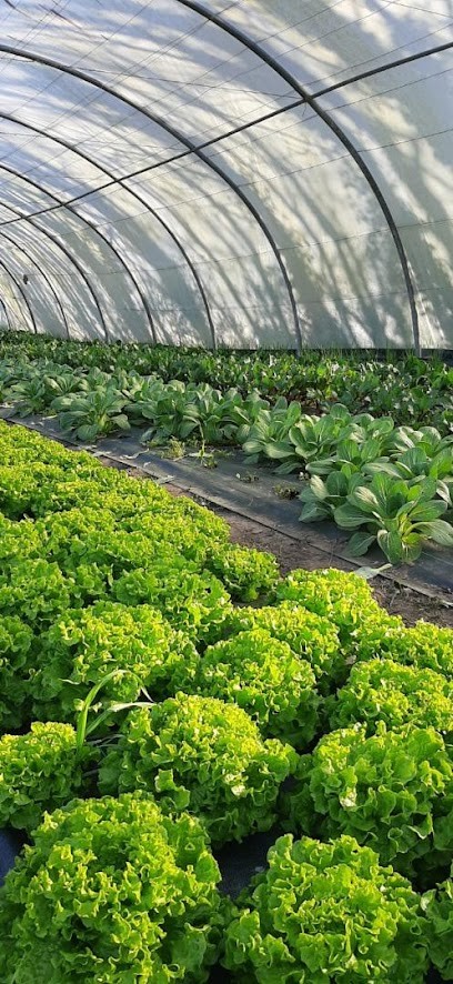 GAEC Au p'tit bonheur le champ, Ferme Bio à Saint-Nicolas-de-Redon