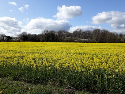 La Ferme de Nepri, Ferme Bio à Vieillevigne