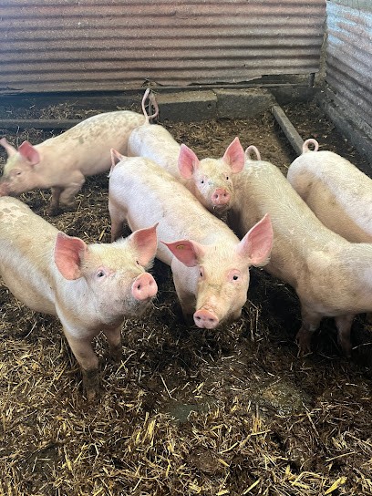 Ferme des Pouls-Hauts, Ferme Bio à Saint-Nazaire