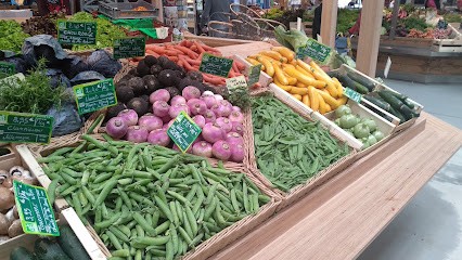 Songs of Earth, Ferme Bio à Colmar