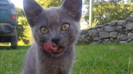 La Ferme de La Goutille, Ferme Bio à Esparros