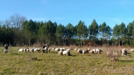 La Ferme d'Iska & Marina, Ferme Bio à Saint-Martin-Curton