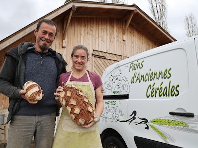 Ferme Moyses, Ferme Bio à Feldkirch