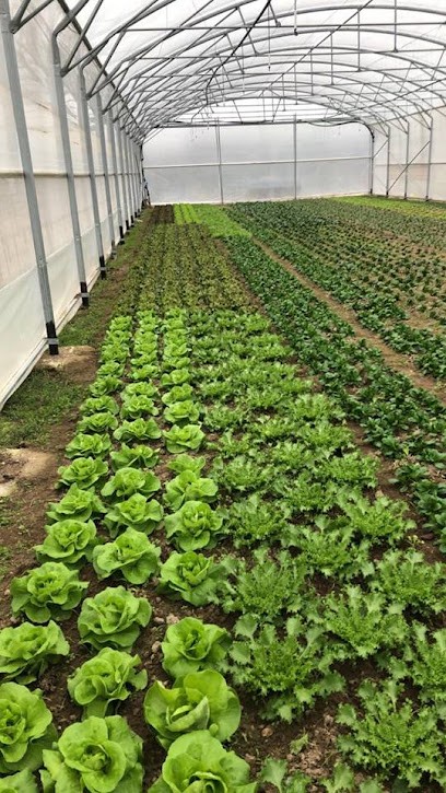 Les bïaujardins du Neuvran, Ferme Bio à Chaon