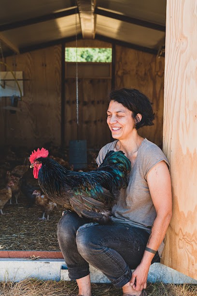 La Ferme Des Poulets De Farinet, Ferme Bio à Fégréac