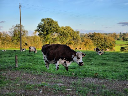 Naturellement Normande - Ferme Bio à Vire, Ferme Bio à Landelles-et-Coupigny