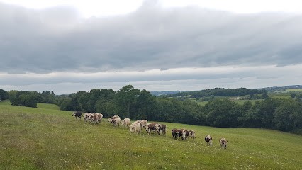 Ferme Lait P'tits Bearnais, Ferme Bio à Castétis