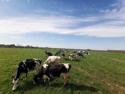 GAEC des Marouettes, Ferme Bio à Tiercé