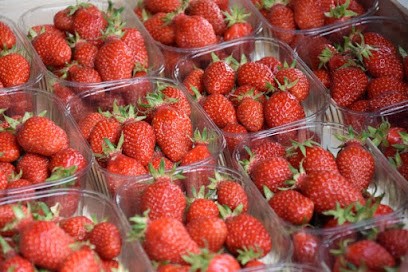 Cécile DAYOT, Ferme Bio à Mont-de-Marsan