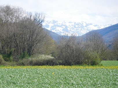 Atelier de la noix de Léa - La fraise de Léa, Ferme Bio à Saint-Étienne-de-Saint-Geoirs