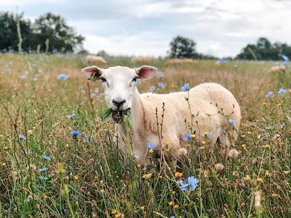 Ferme Cinsî, Ferme Bio à La Roche-Chalais