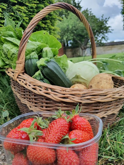 La petite ferme des Béliers, Ferme Bio à Grainville Langannerie