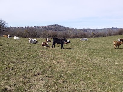 Ho'Rocher BIO, Ferme Bio à Saint-Éloy-les-Mines
