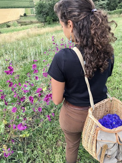 Flore Sauvage- Ochréa Cosmétiques, Ferme Bio à Saint-Martin-en-Haut