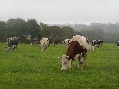 La Ferme de La Forge, Ferme Bio à Saint Christophe Du Foc