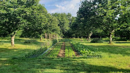 Le Potager Vigeoyeux, Ferme Bio à Vigeois