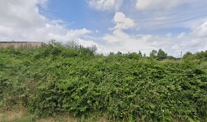 Vergers de Lanvern légumes & fruits, Ferme Bio à Combrit
