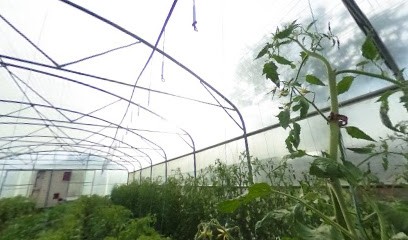 Jalley Adrien Maraîcher bio, Ferme Bio à Vincent-Froideville