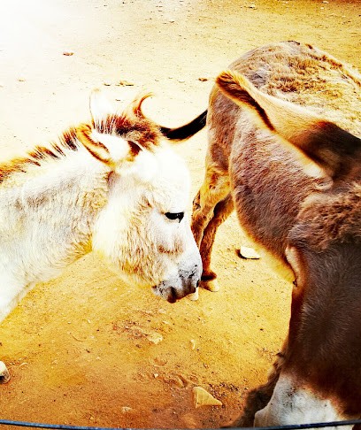 Ferme nevianaise ,gaec des moulins a vent famille martinez, Ferme Bio à Névian