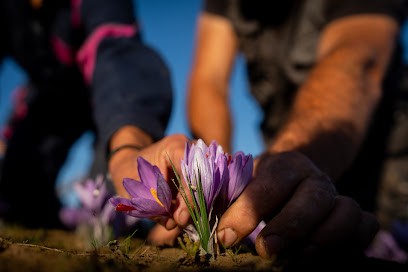 Lou Safran Mayenne, Ferme Bio à Gesvres
