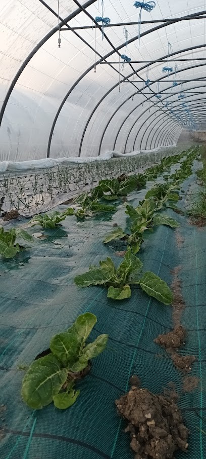 Les Champs du Geai, Ferme Bio à Courbiac