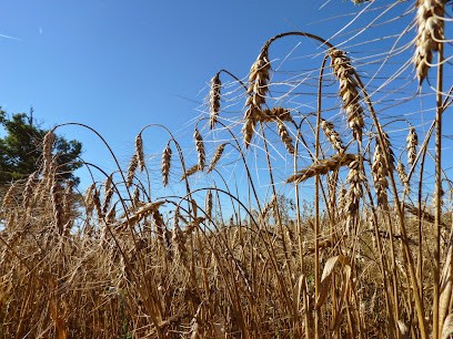 Ferme De Baudrouze, Ferme Bio à Rancon