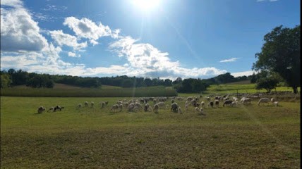 Ferme les Charentais, Ferme Bio à Pierrerue