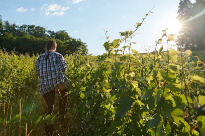 La ferme du Cochon Zébré, Ferme Bio à Marçon