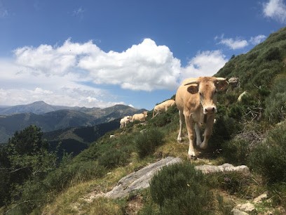 TRAMUNTANA66, Ferme Bio à Lamanère