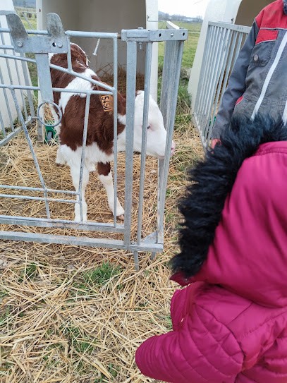 Gaec Biogeval, Ferme Bio à Euville