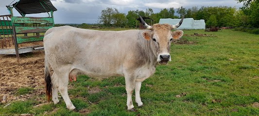 Ferme à l'ancienne/Jérôme Maudet, Ferme Bio au Lude