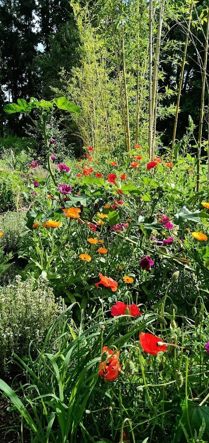 Aux Divines Natures, Ferme Bio à Rouans