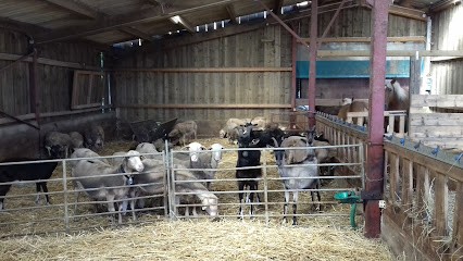 Ferme Des Aubracs, Ferme Bio à Trésilley