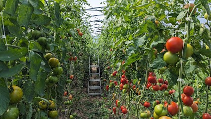 La ferme de Bezidel, Ferme Bio à Séné