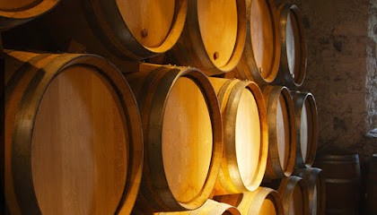 Wine Advance - traitement de la vigne et du vin, Ferme Bio à Duesme