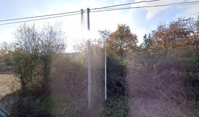 La Cerise de l'Erdre, Ferme Bio à La Chapelle-sur-Erdre