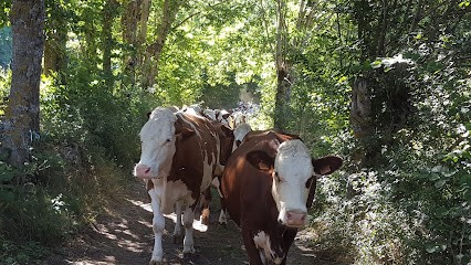 GAEC LES VALLIERS, Ferme Bio à Aspres-lès-Corps
