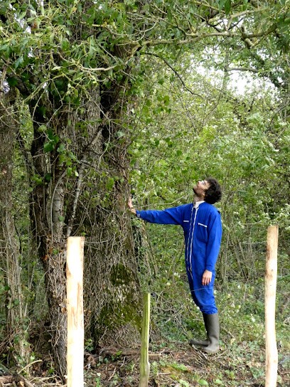Mouzill'œuf, Ferme Bio à Mouzillon