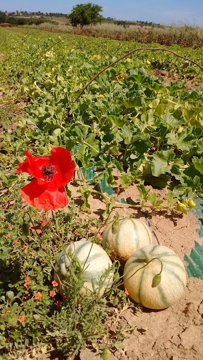 La Ferme Des Deux Rives, Ferme Bio à Senouillac