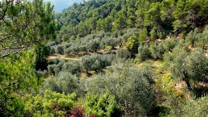 Domaine de la Chapelle Saint Jérôme, Ferme Bio à Breil-sur-Roya