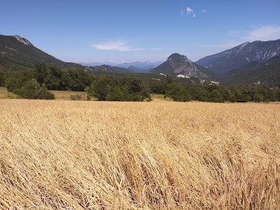 Le Colombier 06 Briançonnet, Ferme Bio à Briançonnet