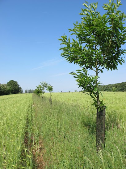 La Féverole, Ferme Bio à Bretoncelles
