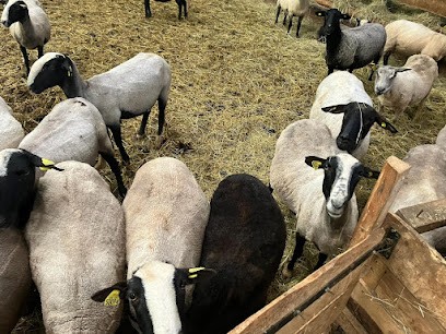 les chevriers d'echazeaux, Ferme Bio à Corveissiat